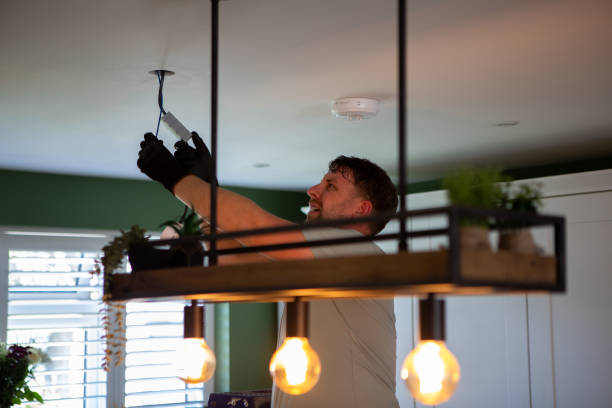 Best Generator Installation Services  in Burnham, IL