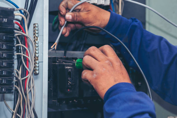 Best Electric Panel Repair  in Burnham, IL